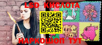 спиды Новозыбков
