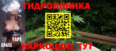 PSILOCYBIN Новокубанск