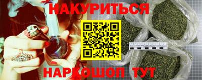 спиды Новозыбков