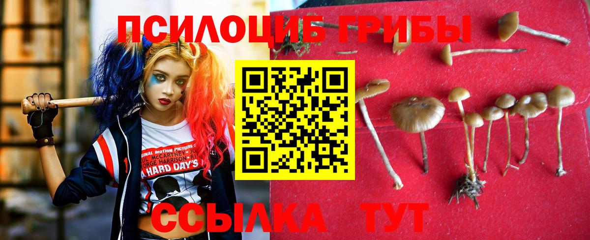 Советский  Галлюциногенные грибы ЛСД  Вход с VPN 